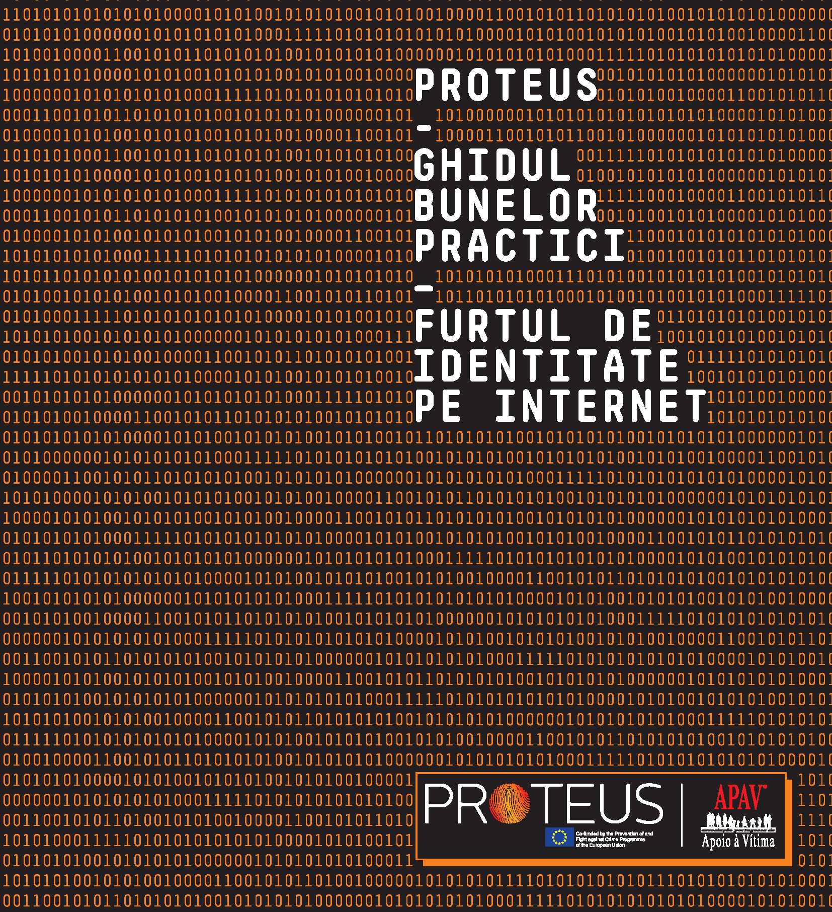 Manual de Procedimentos Proteus Romenia