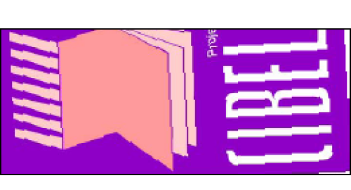 Projeto CÍBELE | estudos sobre prevenção de crime e vitimação urbana